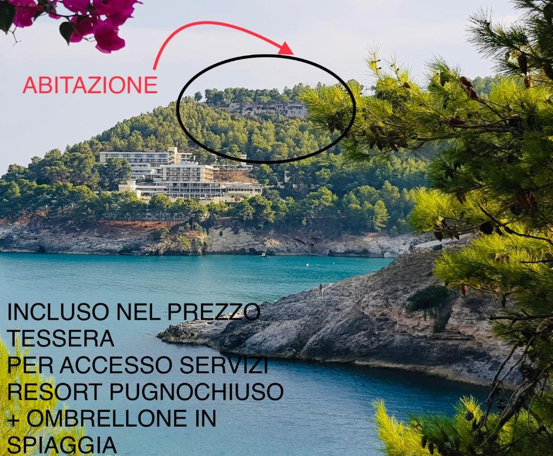 La Finestra Sul Mare - Antonella Apartment ヴィエステ エクステリア 写真